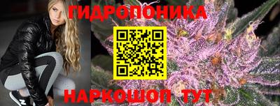 jwh Кинель