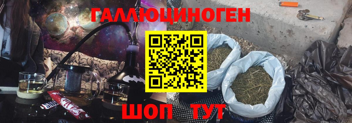 Черняховск  Псилоцибиновые грибы GOLDEN TEACHER  Вход с VPN  Галлюциногенные грибы Magic Shrooms 
